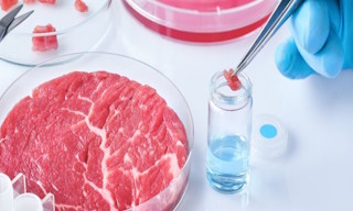 Лабораторный анализ пищевых продуктов по СанПиН в Волхове в октябре