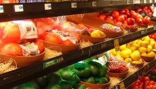 Сертификация пищевой продукции в Волхове – цена от 10468 руб. | ПромМир-Влх