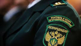 Подготовка к проверке Росприроднадзора в Волхове от ПромМир-Влх, стоимость услуги от 20936 руб.